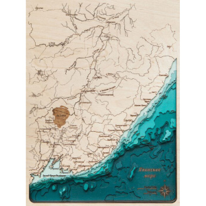 Карта Приморского края из дерева, на заказ
