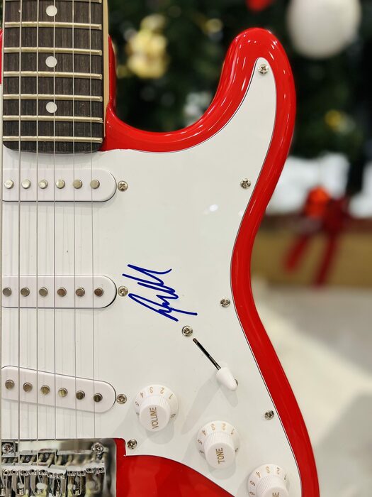 Гитара с автографом Стивена Адлера, Guns N' Roses