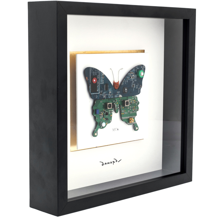 Картина Дамира Кривенко "Бабочка сине-зеленая" в черной рамке