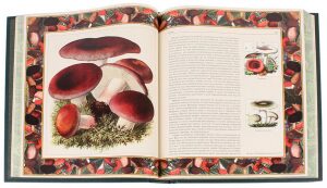 Подарочная книга в кожаном переплете "Русский лес. Грибы и ягоды"