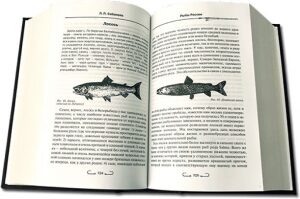 Книга в кожаном переплете "Все о рыбалке. Сабанеев Л.П"