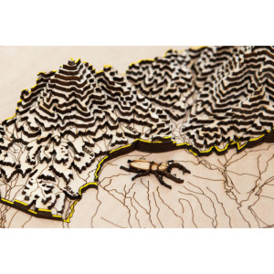 Карта Национального парка Земля Леопарда из дерева, на заказ