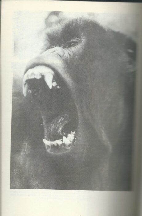 Книга с автографом учёного-зоолога Николая Дроздова (Гориллы в тумане) 1990г.