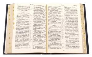 Книга в кожаном переплете "Библия. Книги Священного Писания Ветхого и Нового Завета" Blu metallizzato