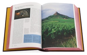 Книга в кожаном переплете "Андре Домине. Вино" в коробе