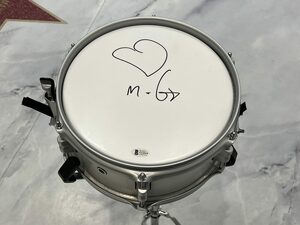 Барабан с автографом Моби