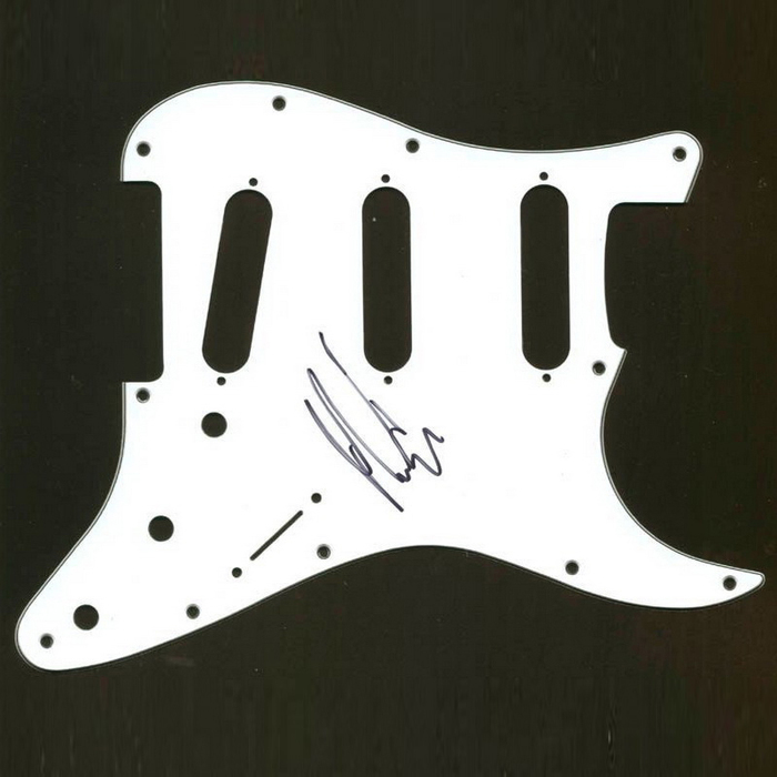 Гитара с автографом Джеймса Шаффера, Korn