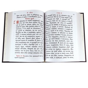 Книга в кожаном переплете "Святое Евангелие" в подарочной упаковке