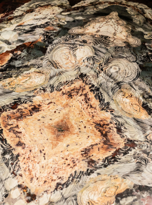 A table made of a cut of natural jasper with curly bronze legs. Collector's sample