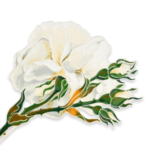 Брошь серебряная "Белые розы Зимнего дворца" коллекции «Гербарий Татьяны Поляковой»