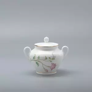 Сервиз чайный "Сад Мечты" формы Весенняя 2, 20 предметов, на 6 персон