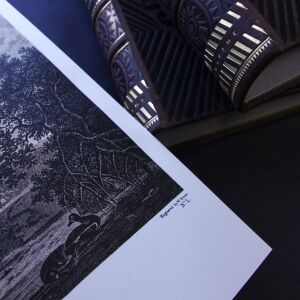 Книга в кожаном переплете "Путешествия Джеймса Кука" в 3-х томах