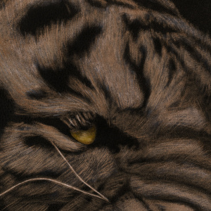 Картина на коже "Тигр"